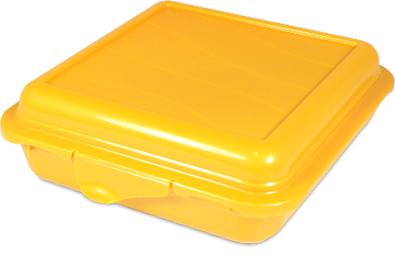 CAJA MAXIMA CUADRADA 1 Lts